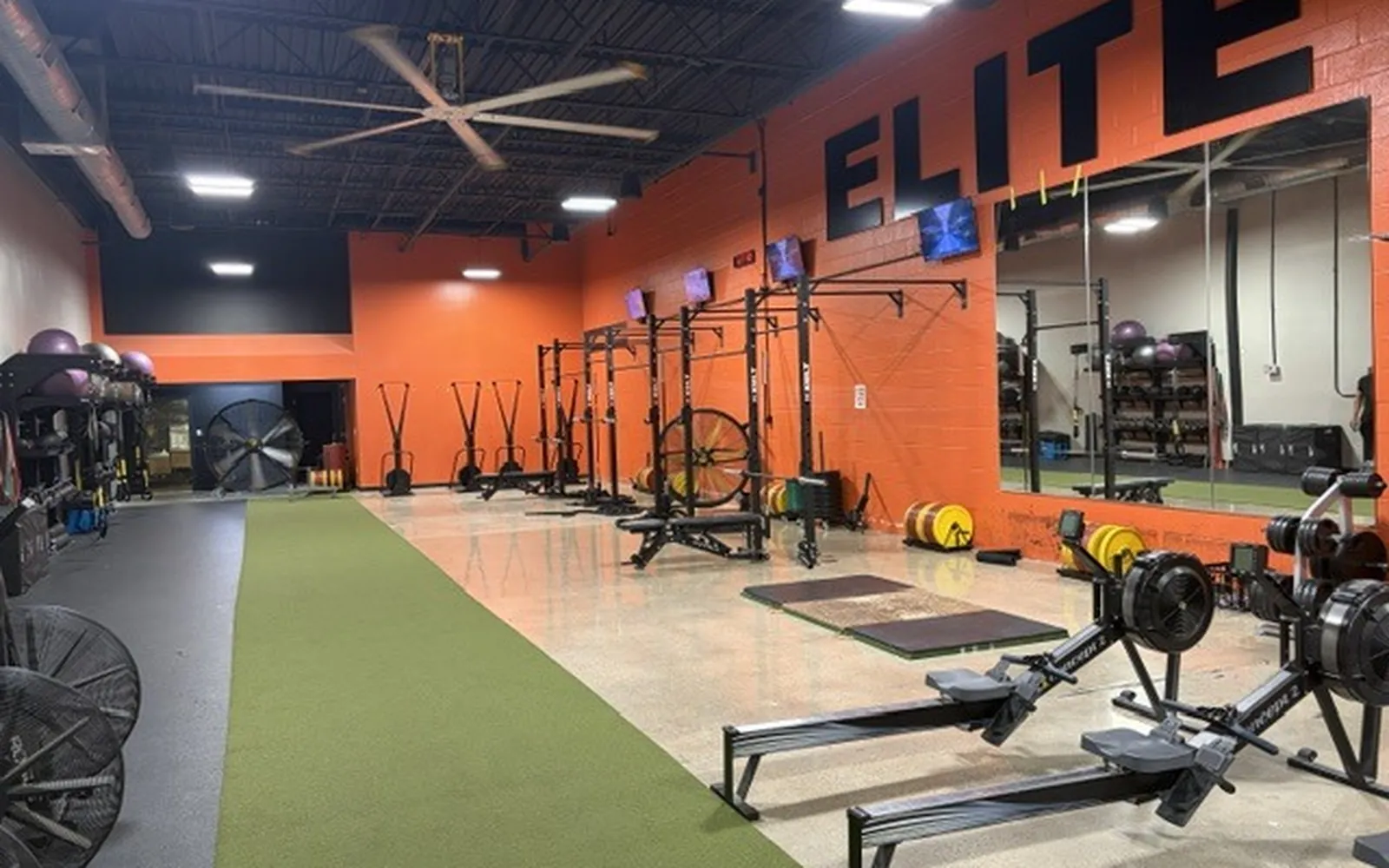 Elite Fitness Georgetown
